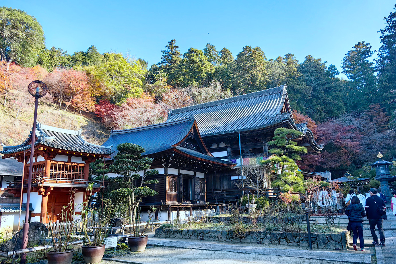 西國三十三所-東光山龍蓋寺(岡寺)